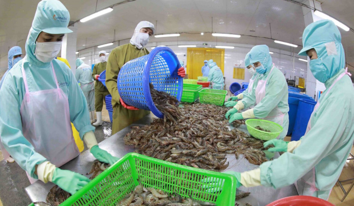 Hàng rào phòng vệ tại các thị trường “dày đặc”, Bộ Công Thương đẩy mạnh hỗ trợ doanh nghiệp ứng phó