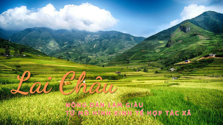Lai Châu: Nông dân làm giàu từ mô hình kinh tế hợp tác xã